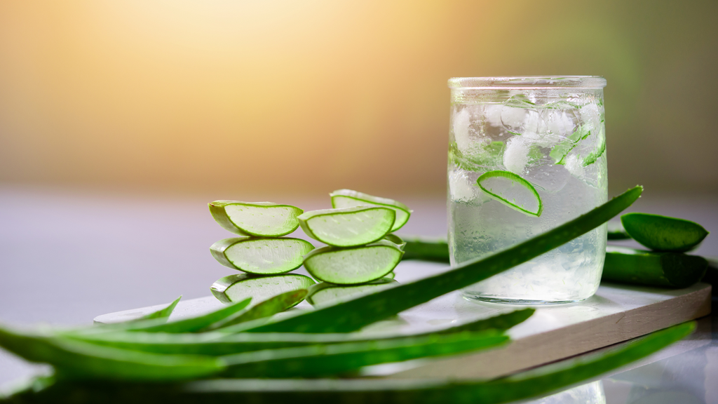Natural ingredients aid in weight loss due to their intrinsic properties, such as detoxifying or thermogenic power. One of the most popular is aloe vera leaf. This plant is used in multiple preparations—such as vegetable juice—that promise to boost fat loss. In this article, we reveal all the health benefits of aloe vera and whether it helps with weight loss. Getting to Know Aloe Vera Aloe vera is a succulent plant native to the Arabian Peninsula. However, it proliferates in various climates worldwide, making it easy to find in any region. It is very popular as herbal medicine for its multiple pharmacotherapeutic uses, from topical applications to relieve sunburns to preparations in elaborate beverages to improve health. Aloe vera’s medicinal use dates back to Ancient Egypt, and today, we discuss this helpful plant as an aid in weight loss. Below, discover aloe vera’s benefits and learn how to consume it to take advantage of its incredible properties. Aloe Vera Benefits The benefits of aloe vera are not limited to weight loss. Many of its properties help improve various conditions. Here are the main advantages this food can bring to your life and body. Accelerates Metabolism Aloe vera has a significant vitamin B and E concentration, which causes metabolism to work more rapidly. By speeding up metabolism, aloe vera helps burn more calories and, therefore, more fat, helping to accelerate weight loss. A study by Japanese researchers showed that administering a teaspoon of aloe vera gel has anti-obesity effects. This product helped reduce fat accumulation, partly due to stimulation of energy expenditure. Therefore, aloe vera is a great weight-loss addition to a diet. Helps Blood Sugar Control Studies published in Phytotherapy Research and Phytomedicine have shown that aloe vera helps regulate blood glucose levels in patients with pre-diabetes, type I and type II diabetes, and triglyceride levels. Another of the beneficial effects of this is that by controlling your glucose levels, you experience a greater feeling of satiety, making it easier to avoid cravings between meals and consume unhealthy snacks, as well as decrease your food intake. This way, you will maintain your healthy diet easier. Contributes to Staying Hydrated Drinking aloe vera can help you maintain your hydration levels if you find it challenging to consume plain water. Thanks to its pleasant taste and refreshing sensation, it will make it easier for you to drink the recommended two liters of water by experts. You can add extra ingredients to your health drinks to make them more appealing. A few drops of lemon juice or a tablespoon of honey can add flavor and some additional benefits. In summer, fresh aloe vera juice could be a delicious, refreshing, and healthy way to stay hydrated while avoiding body weight gain. Reduces Discomfort from Gastrointestinal Disorders Aloe vera has digestive properties, so it helps relieve digestive issues. This is very important when embarking on weight loss processes because getting rid of what our body doesn't need is vital to reaching the weight we seek. The natural laxative properties of aloe vera contribute to this and help cleanse the colon. A Journal of Natural Pharmaceuticals study indicates that aloe vera may help relieve constipation and water retention; however, it should not be taken regularly. And if you have colitis, hemorrhoids, or Crohn’s disease, taking aloe vera juice for weight loss or any other presentation of it is not recommended since it could have some adverse effects. Improves Vision and Skin Our bodies convert the beta-carotenes present in aloe vera into vitamin A, which benefits the immune system and supports the health of our vision. Additionally, aloe vera’s vitamin C, antioxidants, and potassium can help your skin protect against environmental free radicals while hydrating it and acting as an analgesic in irritation or pain. How to Consume Aloe Vera for Weight Loss Generally, aloe vera is consumed as juice, infusion, or concentrated capsules. In both presentations, the goal is to retain the most nutrients and properties from the plant. Another option is adding aloe to salads or pulp to sauces. You can take your aloe vera at any time; however, depending on your consumption, you can enhance some of its benefits over others. Consuming aloe vera on an empty stomach is best for boosting weight loss. Before your main meals, it’s ideal to help you feel fuller and reduce your portions. Meanwhile, if you take it at night, its main effect will be to help you sleep better due to its digestive properties. Whichever way you consume it, you can take advantage of aloe vera benefits, but if you're looking for a practical, quick, and easy way, keep reading! Yes You Can! offers you the ideal option. Yes You Can! Aloe Vera Drink Mix Yes You Can! Aloe Vera Drink Mix is designed with natural ingredients to help you stay hydrated. Unlike similar products, our aloe vera contains no caffeine or added sugars, so it doesn't threaten your daily diet or rest. It is available in four delicious flavors with a tropical touch, perfect for helping you consume the necessary amount. With our Aloe Vera Drink Mix, you can enjoy this ancient plant’s benefits in just a few minutes. Boost Your Transformation With Yes You Can! Let Yes You Can! support you on your weight loss journey. Try the aloe vera benefits with our Drink Mix today, improve your appearance, and achieve a healthy weight with us. Let’s go together!