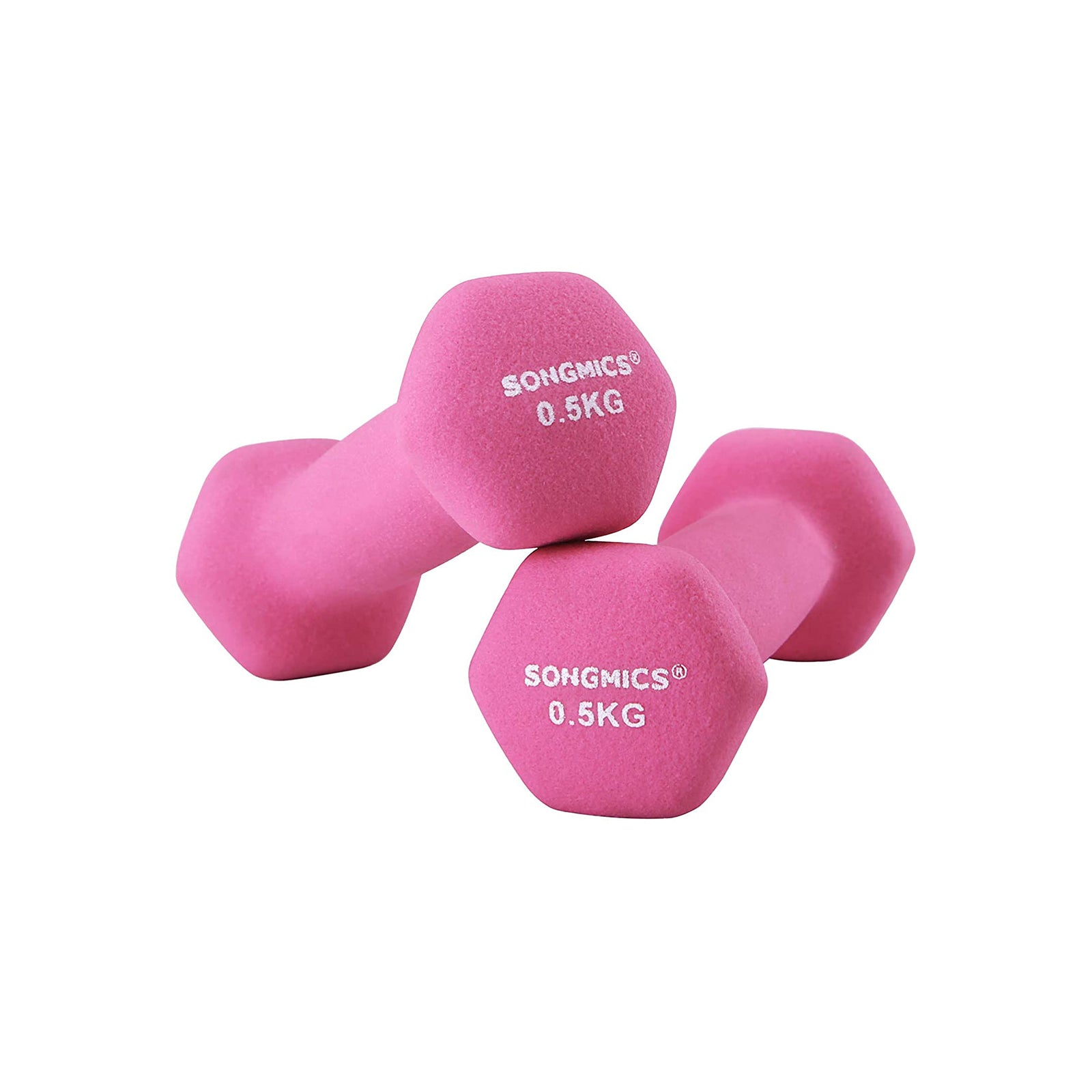 Image of SONGMICS Dumbbell Weights with Vinyl Coating, All-purpose Home Gym Fitness, Waterproof and Non-Slip with Matte Finish, Dumbbells Set 0.5 kg (pair),