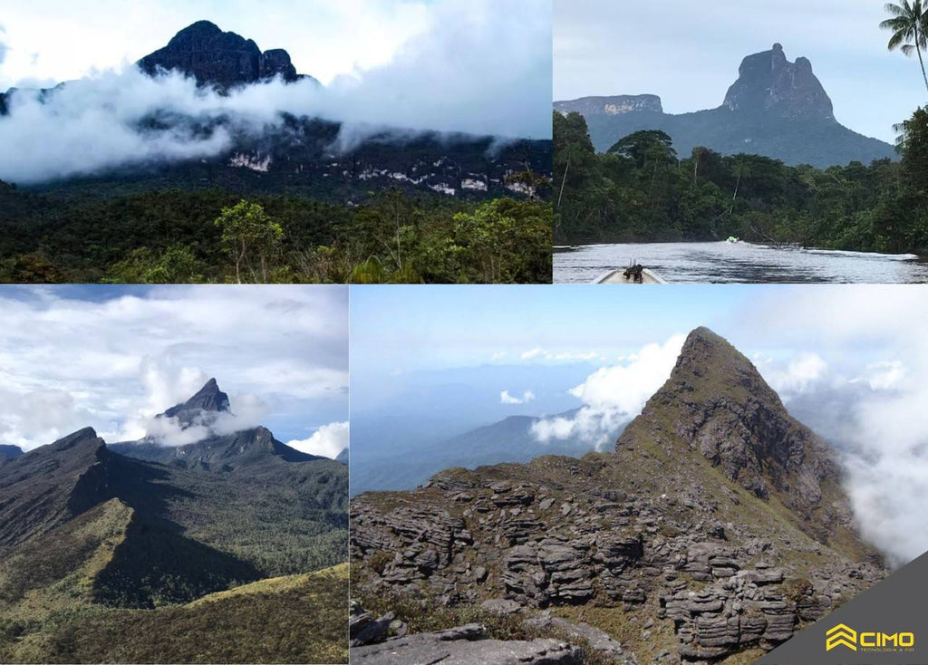 pico da neblina