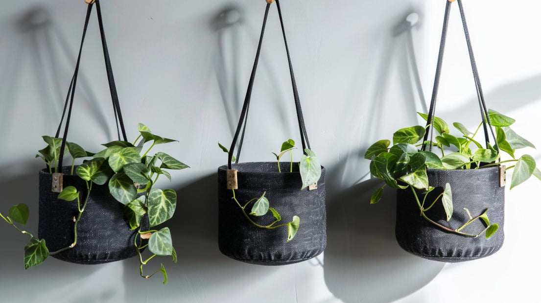 wall-mounted planters