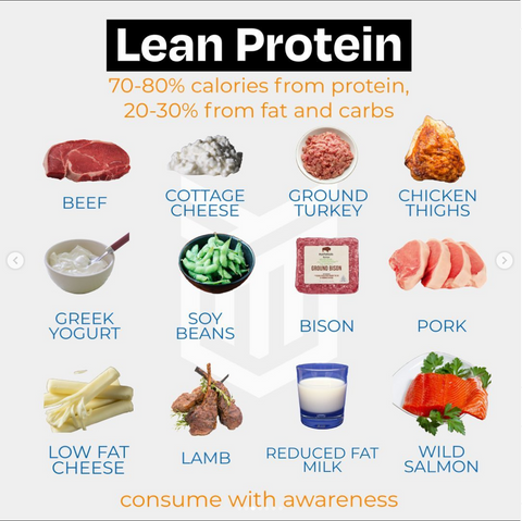 The Tactic Guide to Protein – Tactic Method