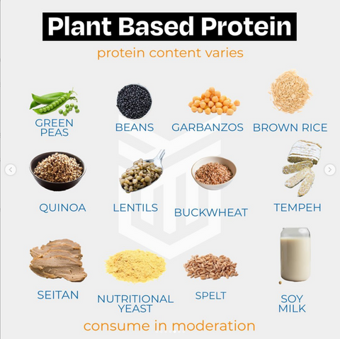 The Tactic Guide to Protein – Tactic Method