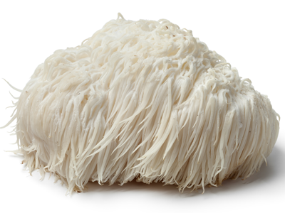 Lion's Mane Mushrooms