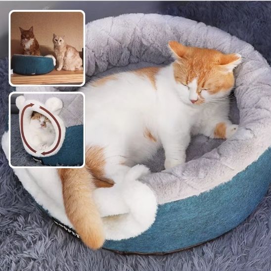 panier pour chat confortable chat dort