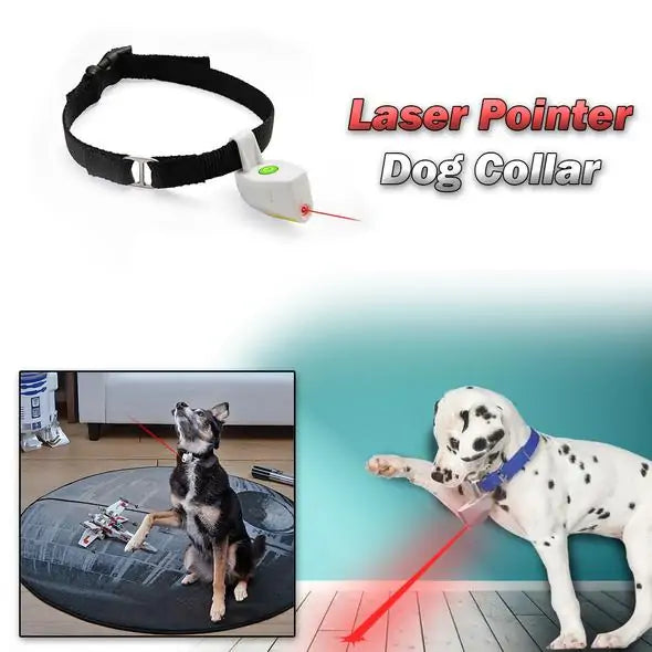 Laser Pointer Pet Pet Collar - Playful Pet Shop