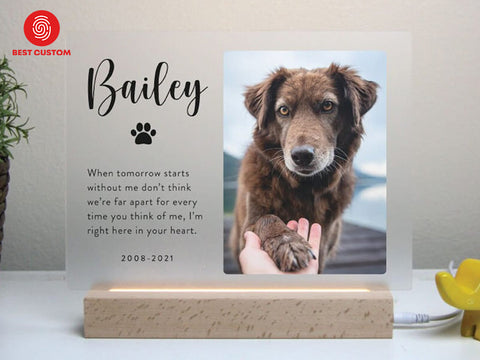 Sympathy Gifts for the Loss of a Pet 2024 - Best Custom