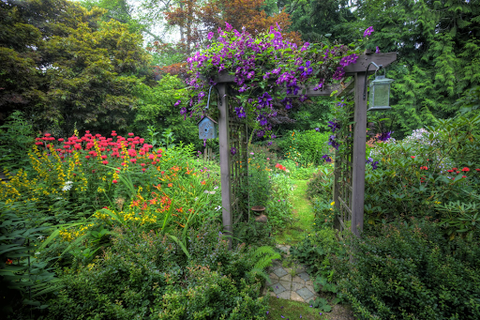 wooden arbor in garden with lattices and climbing plants flowers