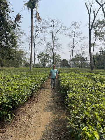 Flat lands of Assam