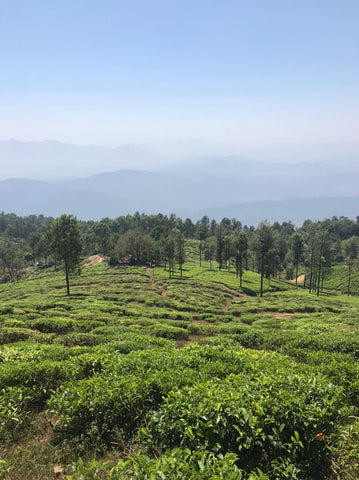 Nilgiri Mountains