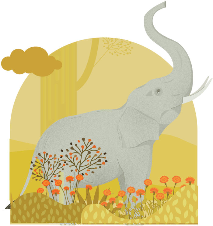 Chaiwala Elephant