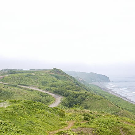 コース遠景、海沿いの丘の上に1本の道筋が見える