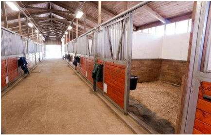 ComfortStall Orthopedisch Afgesloten Vloersysteem verbetert de kwaliteit van paarden huisvesting