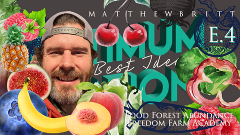 matthew britt food forest abundance