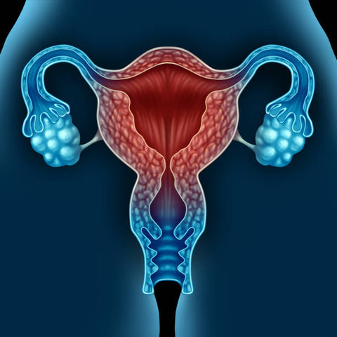 Signs of Low Estrogen in Women