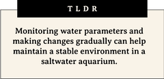 Monitoring water parameters and making changes gradually can help maintain a stable environment in a saltwater aquarium.