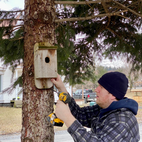 Installation of nesting boxes at Orpailleur 2023