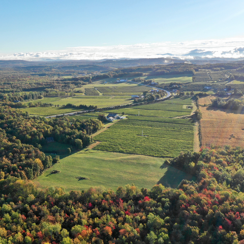 Terroir du Vignoble de l'Orpailleur