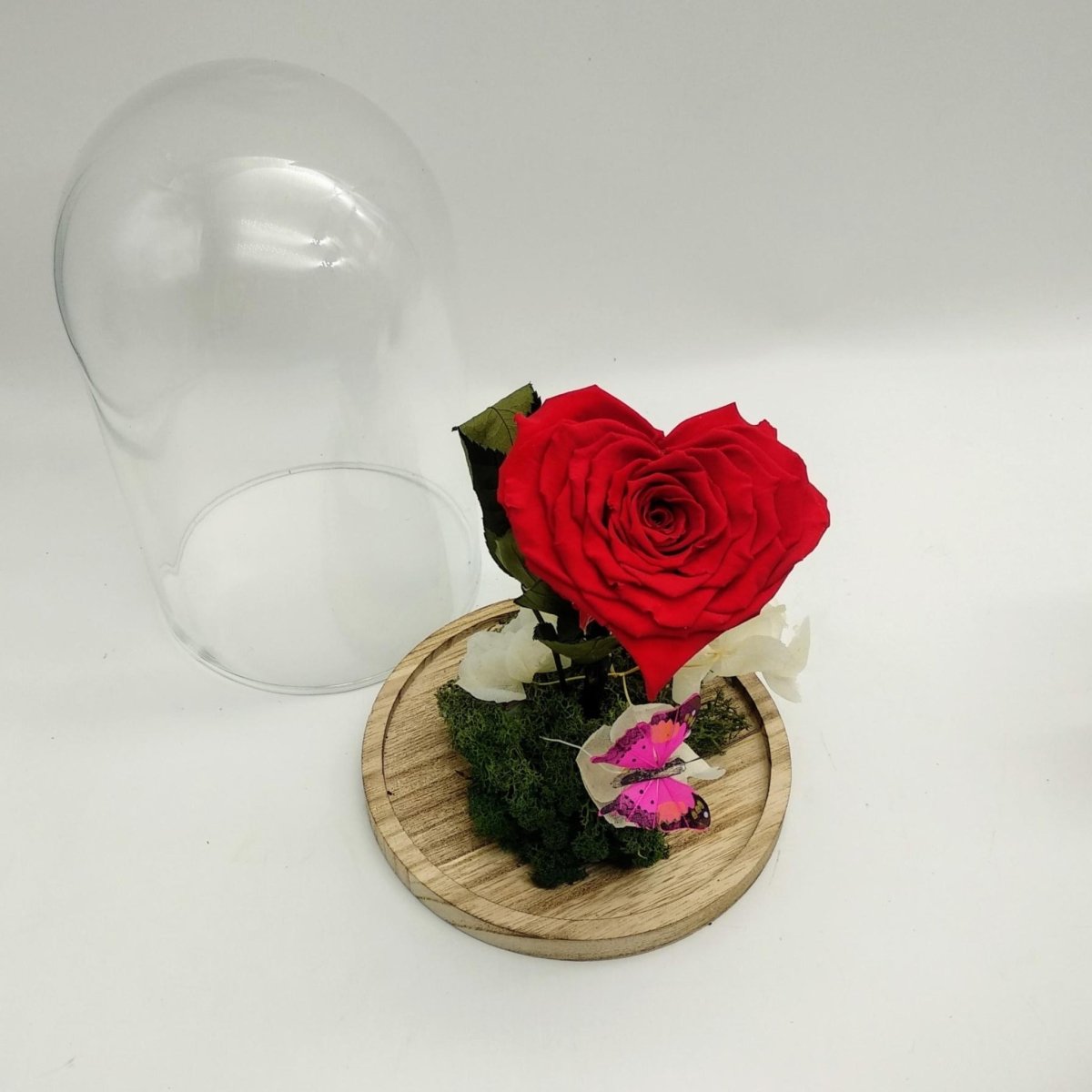 Cúpula con rosa ROJA eterna XXL – Floreate