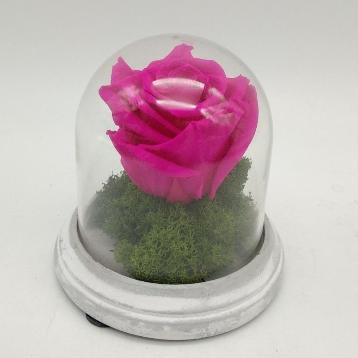 Cúpula mini de cemento con flores eternas – Floreate