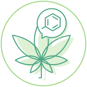 PHB_CBDHempExtracts_Phytocannabinoids_V2_175x175_3ba17d0c-a9f9-4861-ac67-1ed0ac429618
