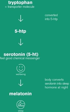 st john's wort depression, st john's wort anxiety, st john's wort side effects, 5 htp, what is 5 htp, 5 htp benefits, 5 htp anxiety, 5 htp for depression, 5 htp sleep, 5 htp serotonin
