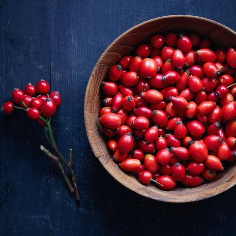 Bowl of bright red fresh rose hips.