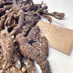 Sacred Plant Co Bulk Osha Root