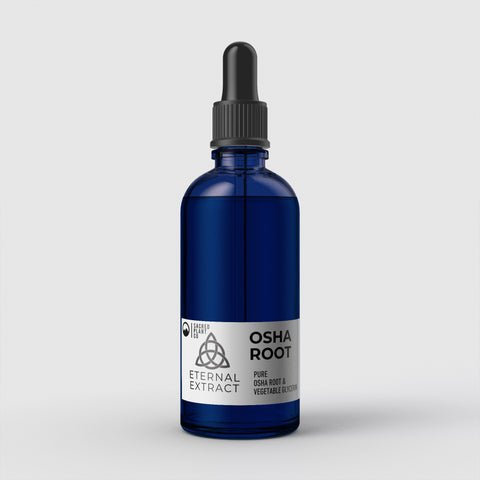 Sacred Plant Co Osha Root Extract in a blue dropper bottle, offering pure vegetable glycerin-based herbal supplement, meticulously crafted for wellness.