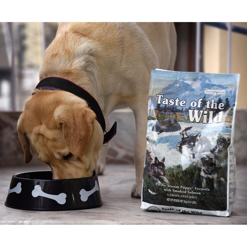 is taste of the wild good for puppies