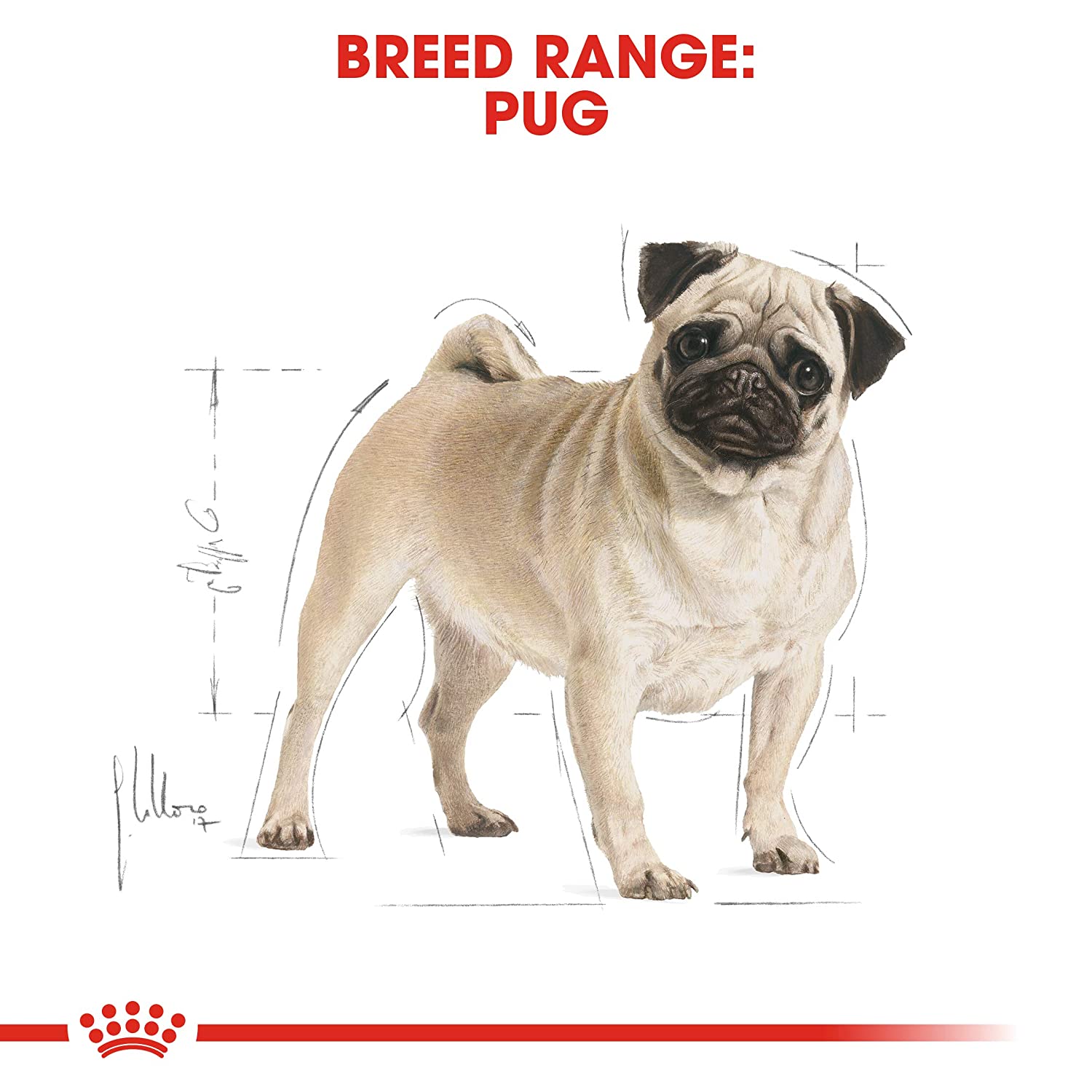 royal canin pug food 7.5 kg