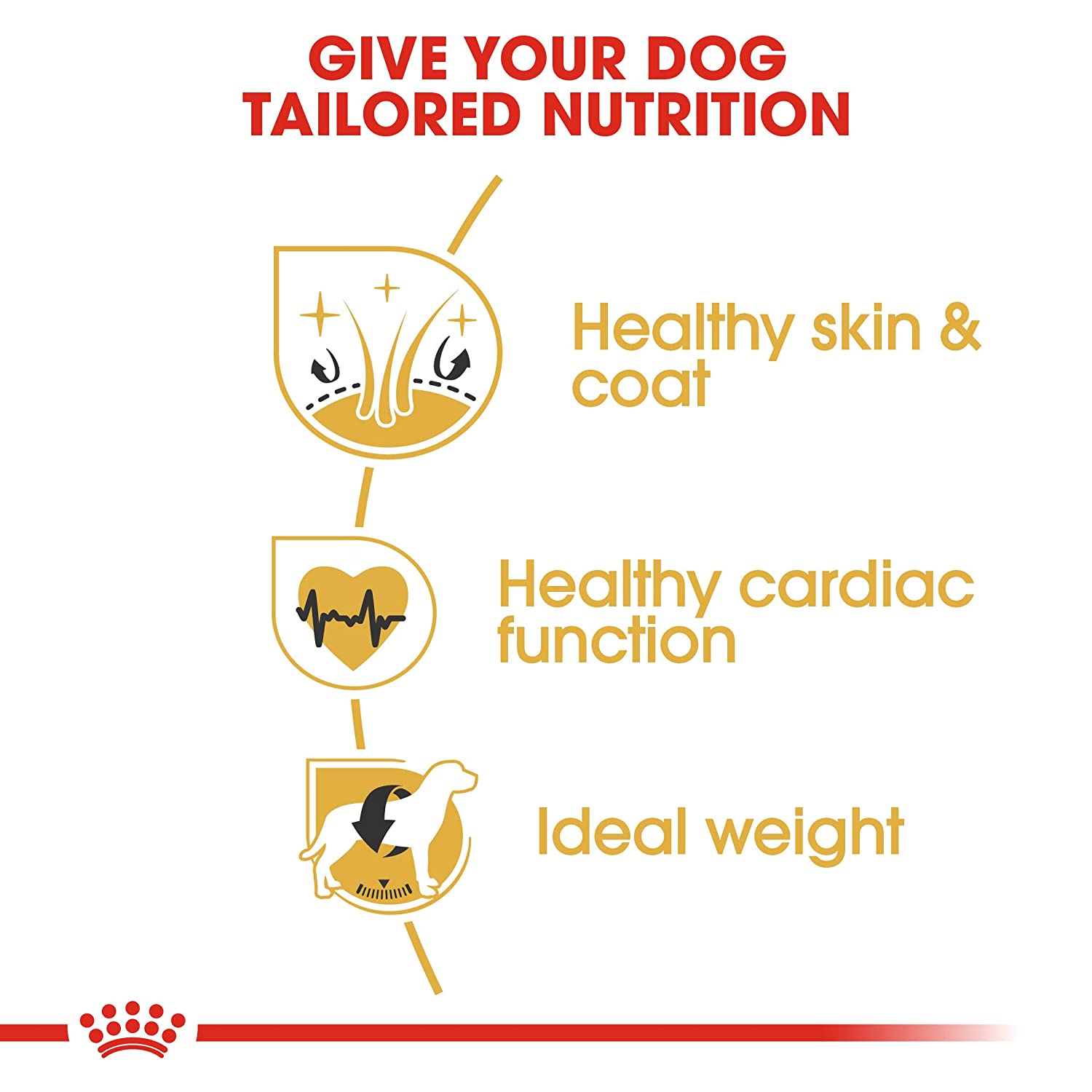 Royal Canin Golden Retriever (1+) Dog – DogzKart World