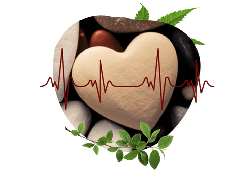 CBD Heart Health Effects