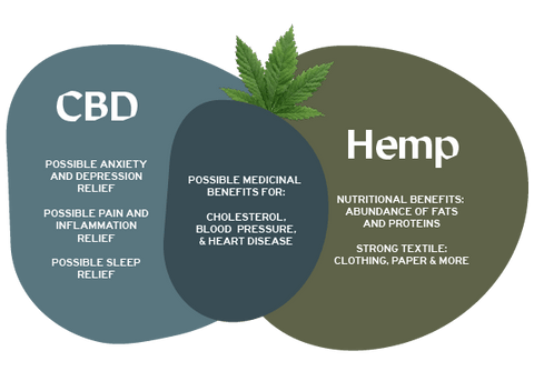 CBD vs Hemp Difference