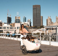 Family Cargo Bike