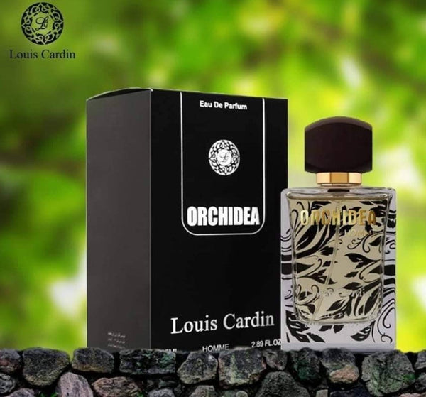 Silver Louis Cardin cologne - a fragrance for men 2011