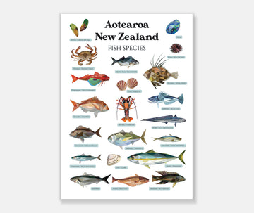 NZ Fishing Premium Vinyl Decals from Hunting4Art NZ