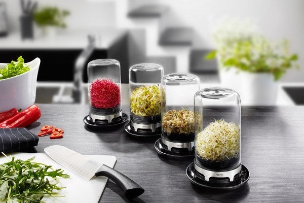 Gefu Bivita Sprouting Jar