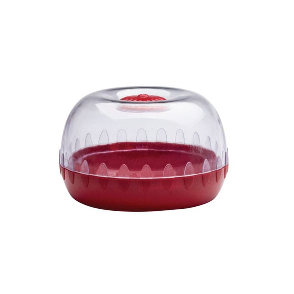 Cuisena Fresh Keeper Pod - Fruit & Veggie