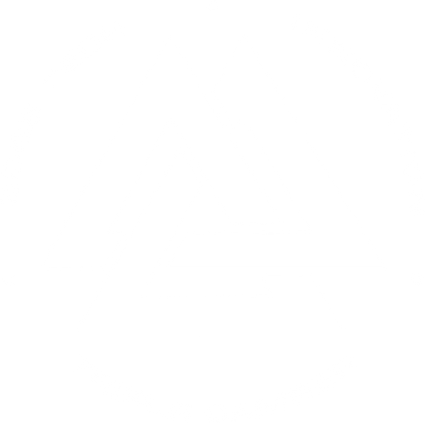triple-camber-logo