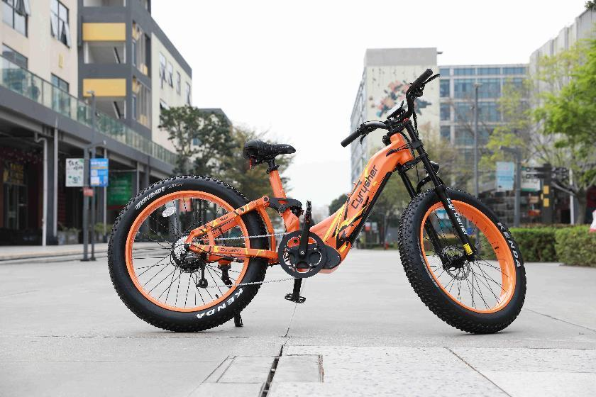 Blog- best all terrain ebike Trax