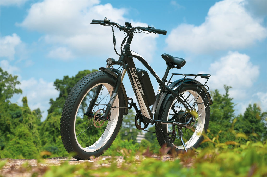 Blog-XF650 ebike for spring riding 