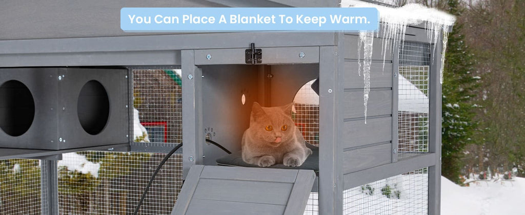 Large Catio Outdoor Cat Enclosure 