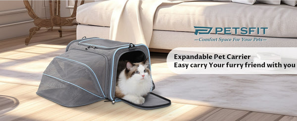 Petsfit-erweiterbare-Haustiertransportbox