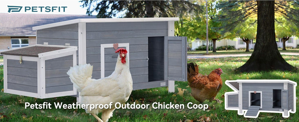 petsfit-weatherproof-outdoor-large-chicken-coop-3