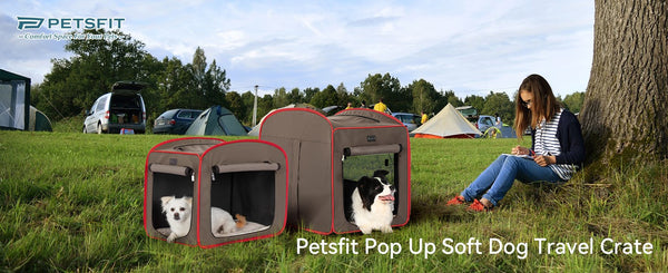 petsift-pop-up-soft-dog-travel-crate