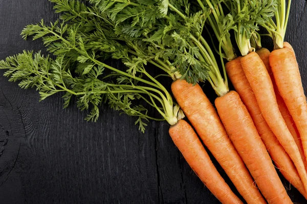 Des carottes avec leur fane sur une table