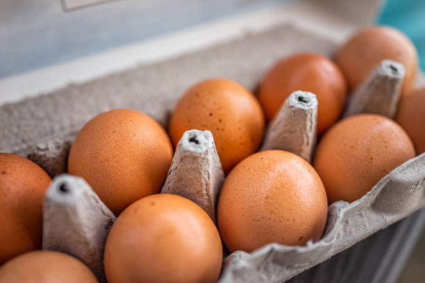 Des oeufs entiers dans une boîte en carton