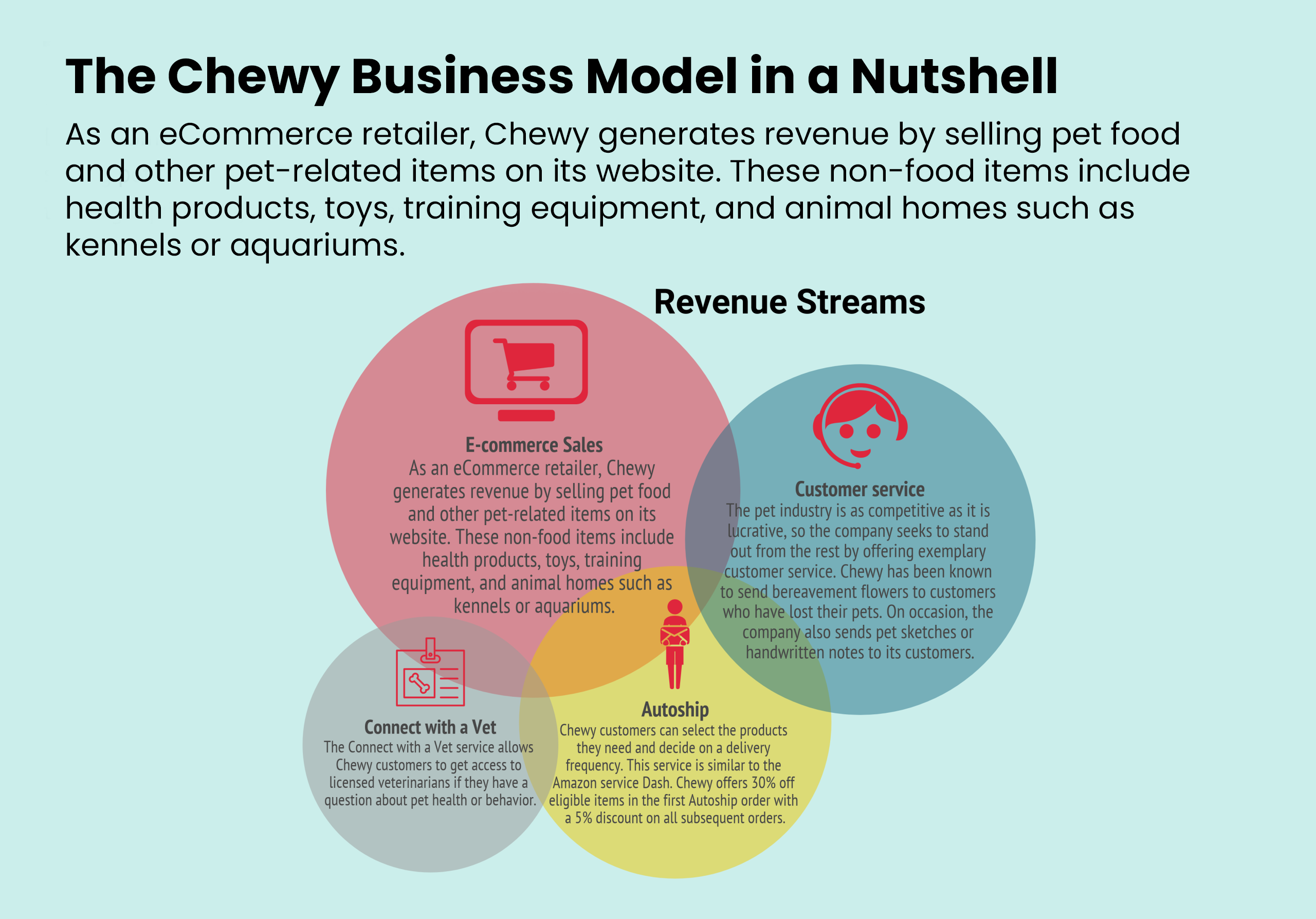 The Chewy Business Model, Chewy eCommerce Retailer