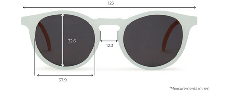 Leosun 3+ sunglasses