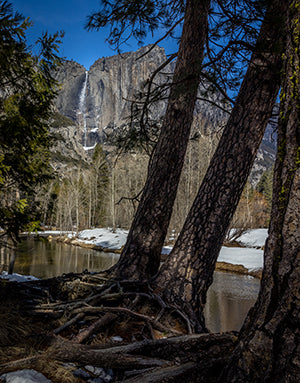 Yosemite Falls in Yosemite National Park